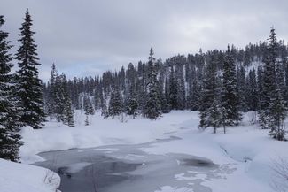 Vereistes Jämtland