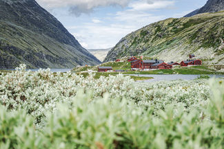 Hütte Rondvassbu am See Rondvatnet